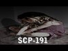 SCP-191 a Gietemová reall extrem pokusy